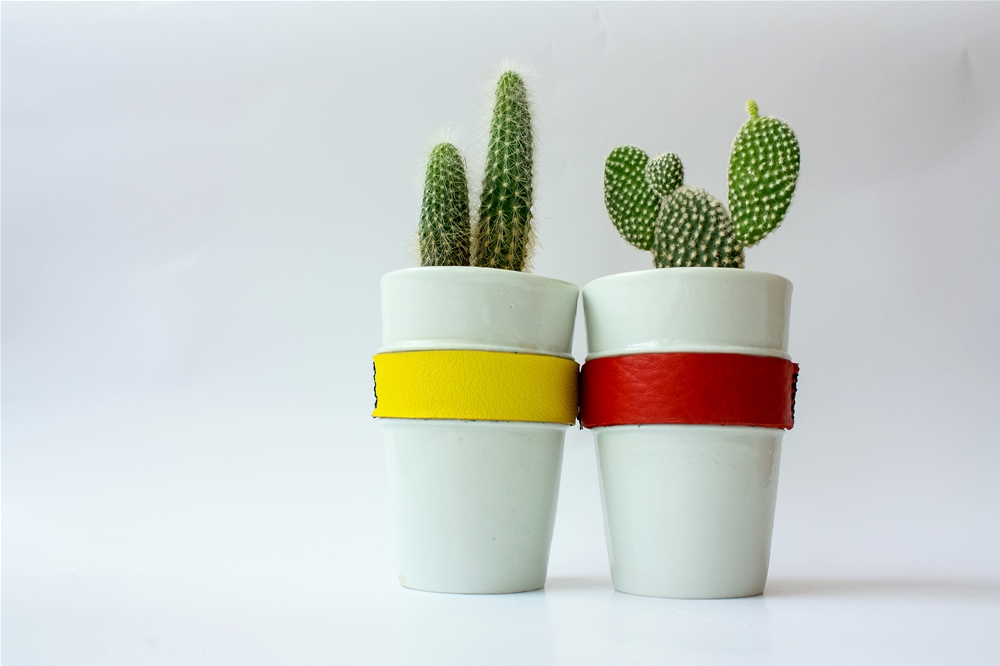 Twin pots avec cuir rouge jaune et cactus