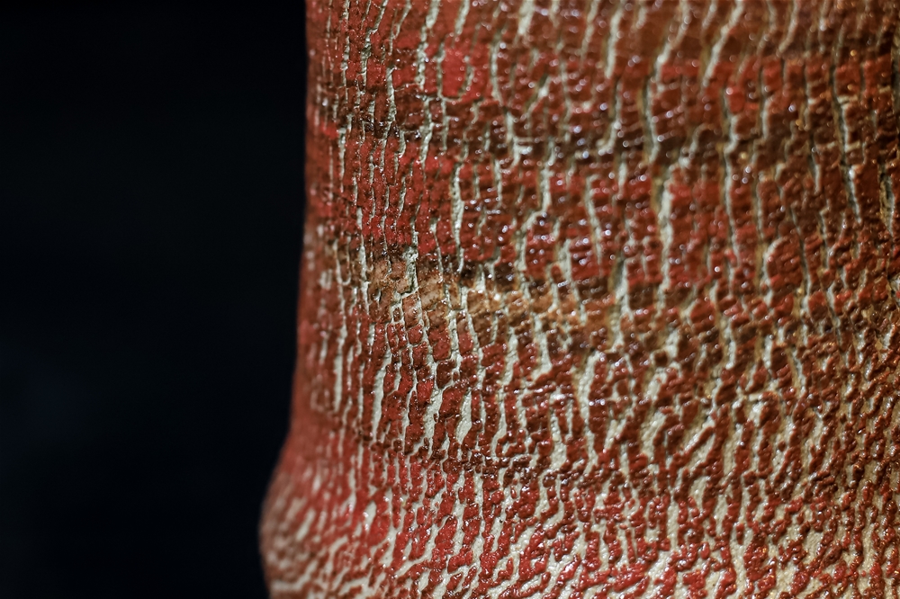 Macro d'un vase Je Craque !